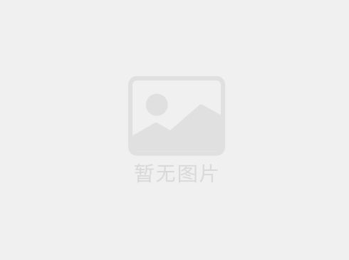 我司盛大成就