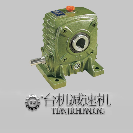 廣東知名wp蝸輪減速機廠-實力護航！